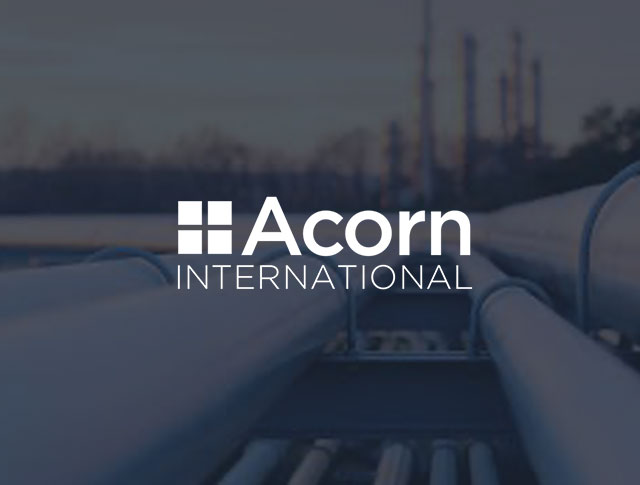ACORN INTERNATIONAL LLC